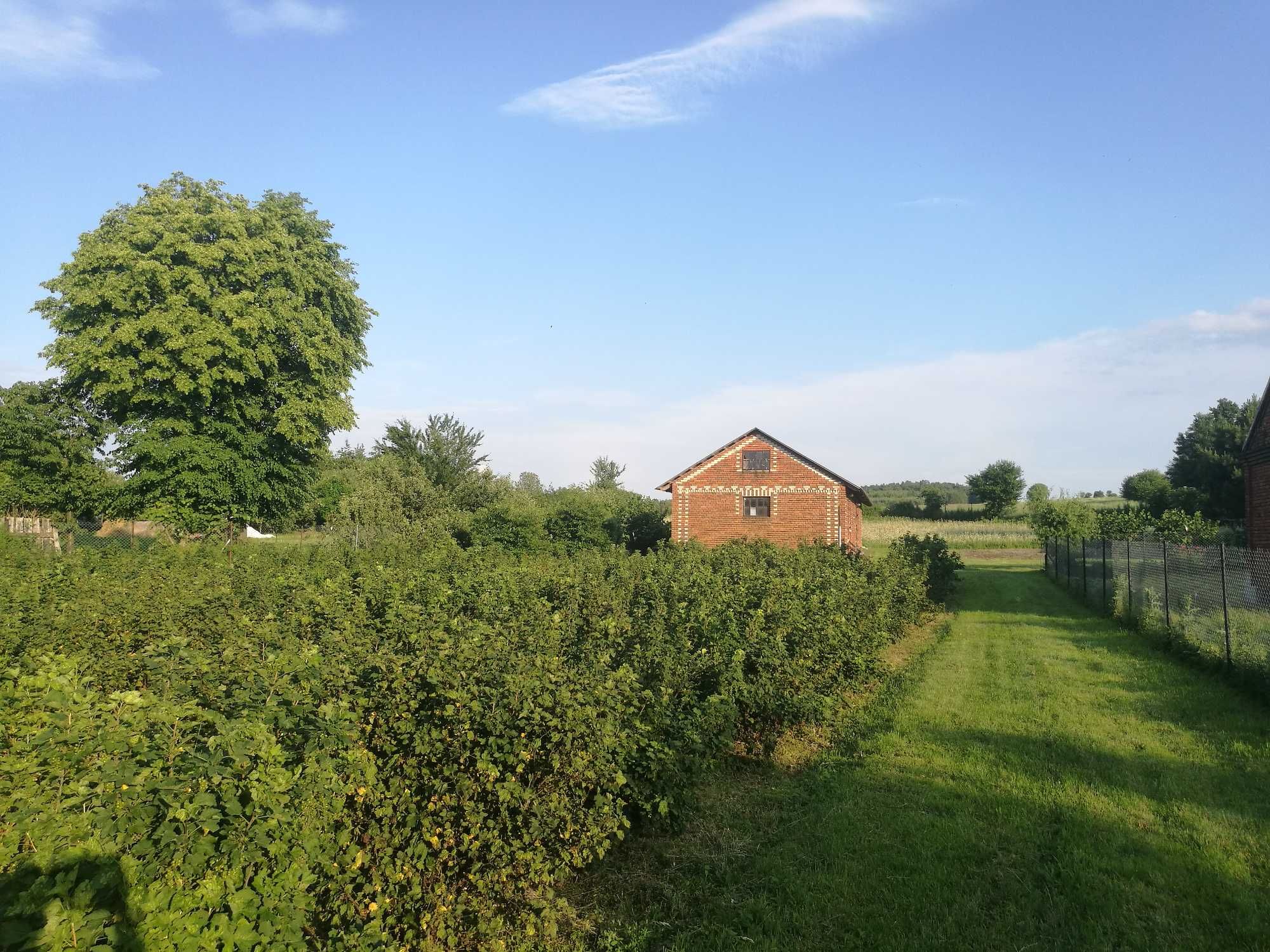 Sprzedam działkę w miejscowości Chorupnik