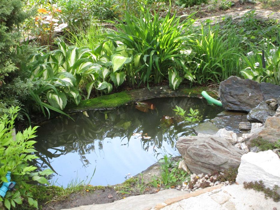 Dzialka ROD Gdańsk Morena ul Wołkowyska 21