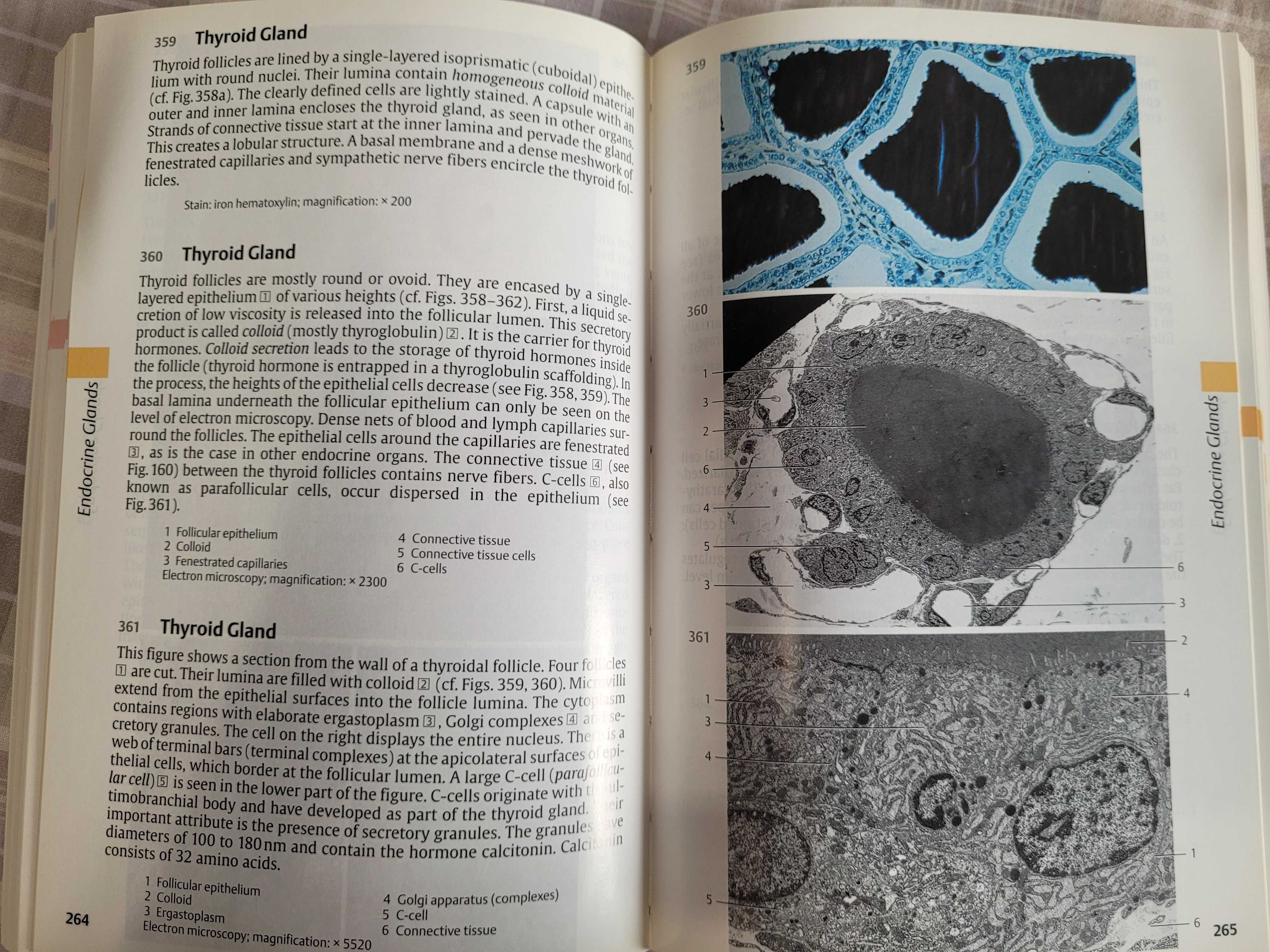 Medicina "Color Atlas of Citology, Histology and ..." da Thieme