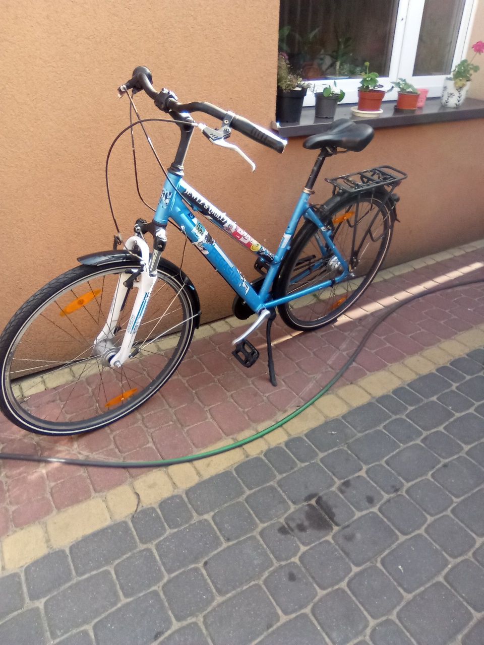Rower Pegasus super cena