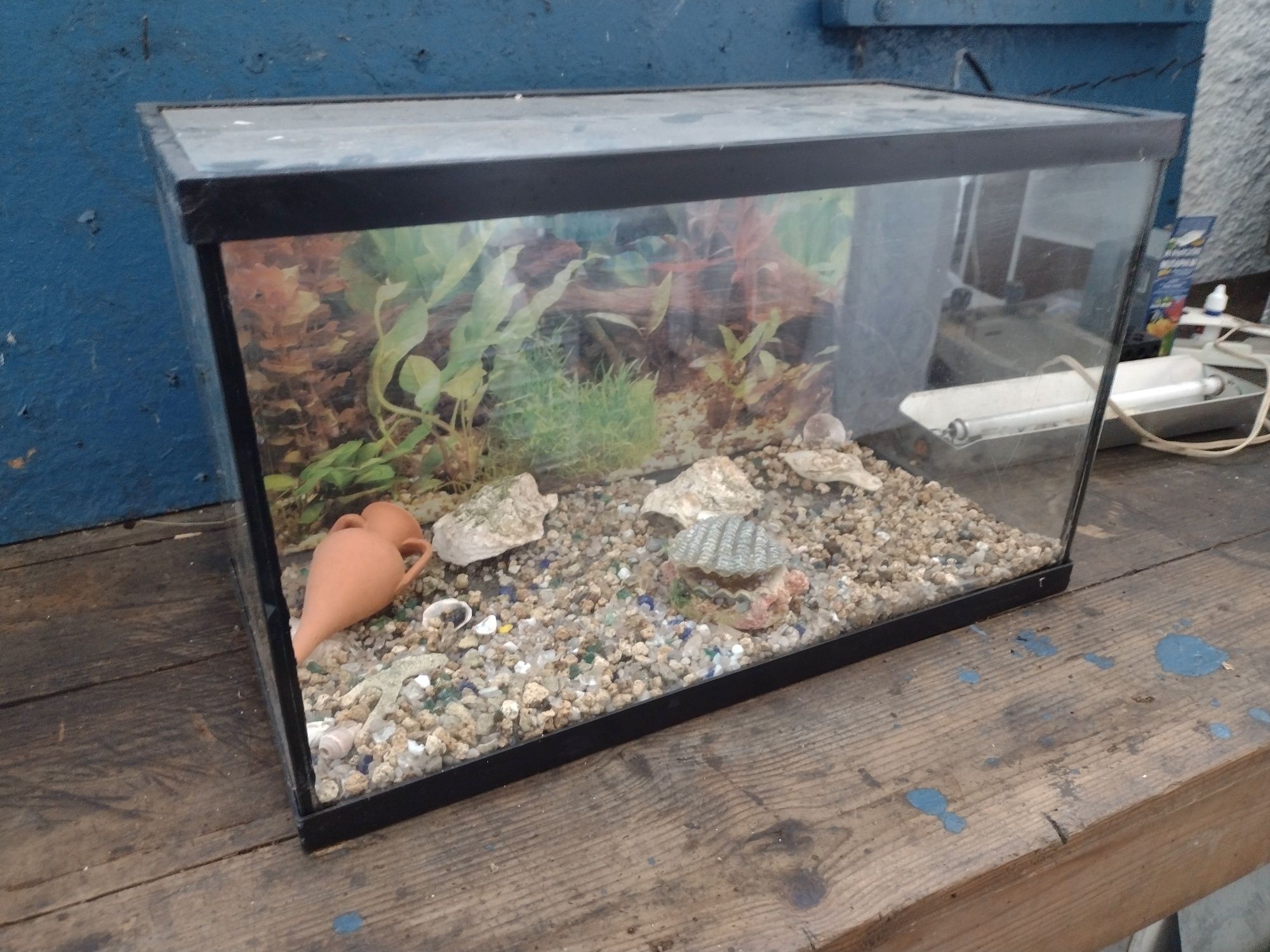 Aquário de vidro para peixes com filtro