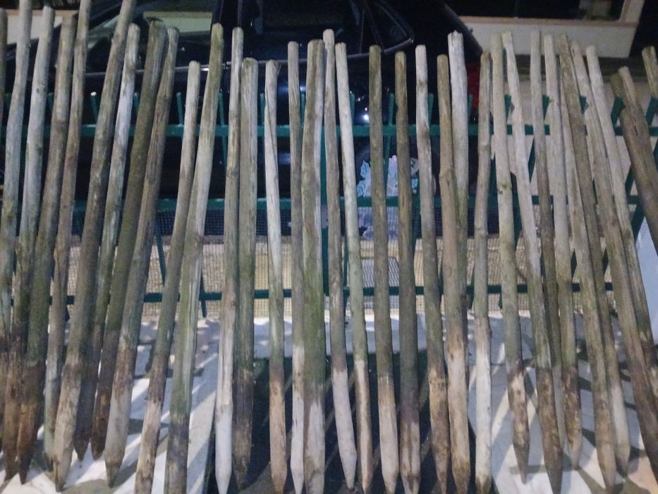 PROMOÇÃO  Paus tratados posso fazer 1 euro a unidade.1/50+-1/60 Altura