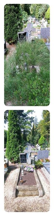 Sprzątanie grobów opieka nad grobami Wrocław i okolice