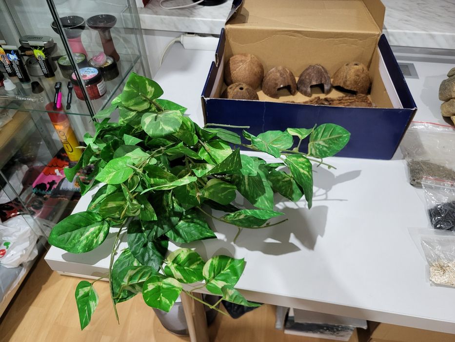 Kamienie piaskowiec liście kora kokosy skrytka ozdoby do terrarium