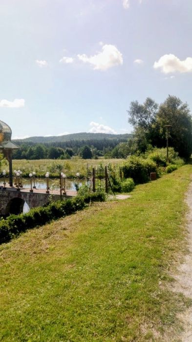 Терміновий продаж земельної ділянки  в мальовничому місці біля  лісу