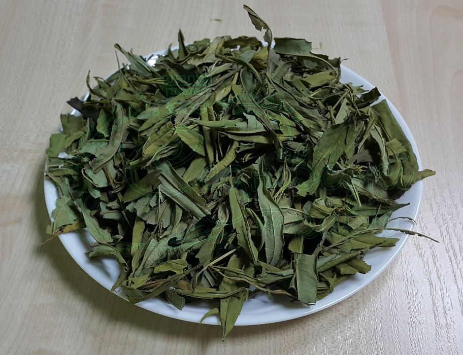 Иван-чай листья (кипрей)
