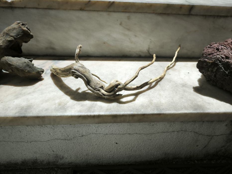 Troncos e rocha vulcânica para aquário e terrário