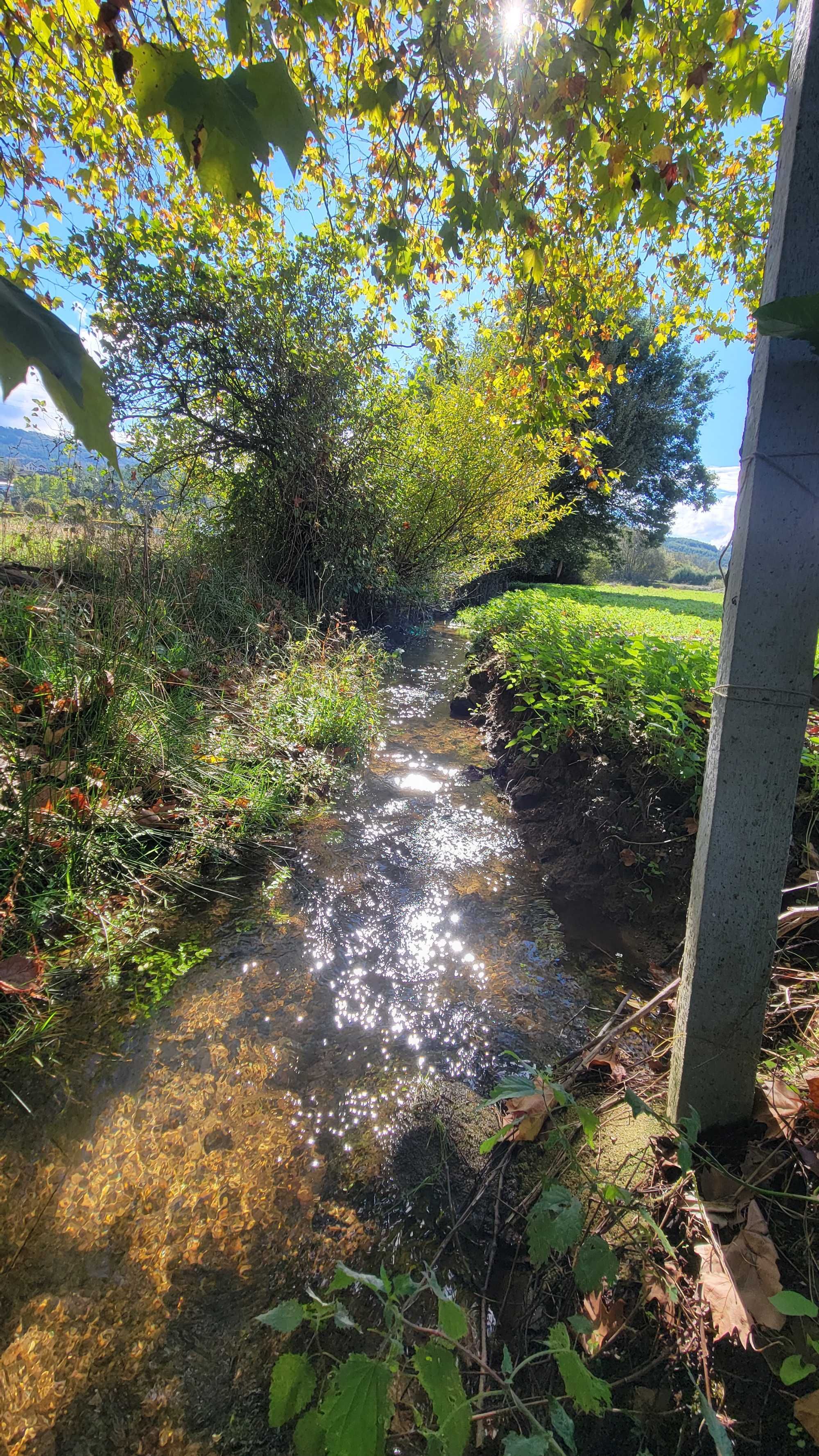Terreno urbano junto à Vila Branca, Seia