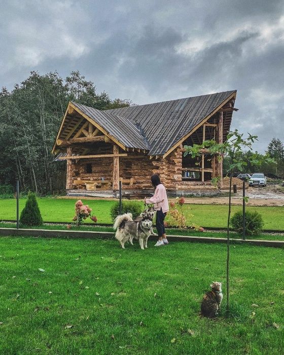 Удачная газонная трава ДАЧА Выносливый газон семена от 5кг