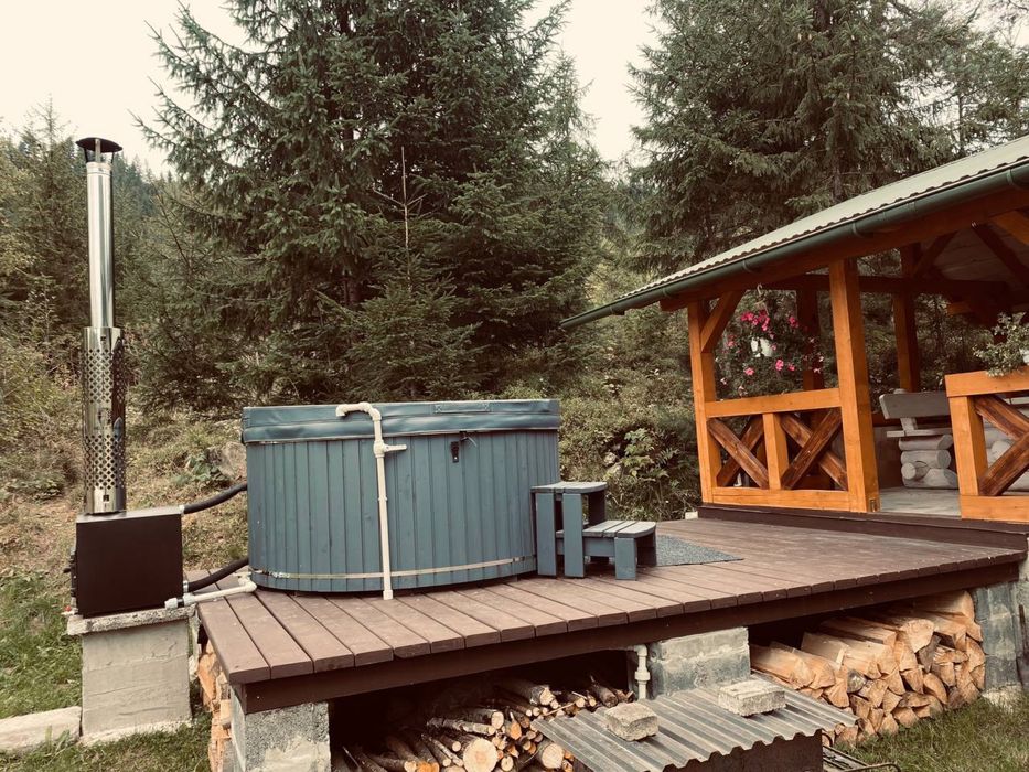 Здаємо будинок в Карпатах.