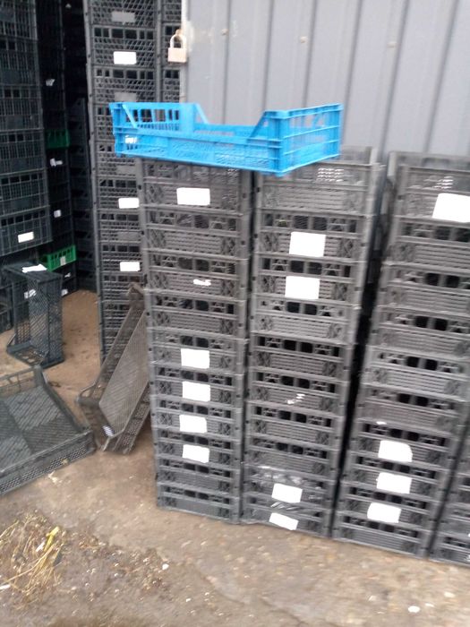 ящик пластиковый для рассады