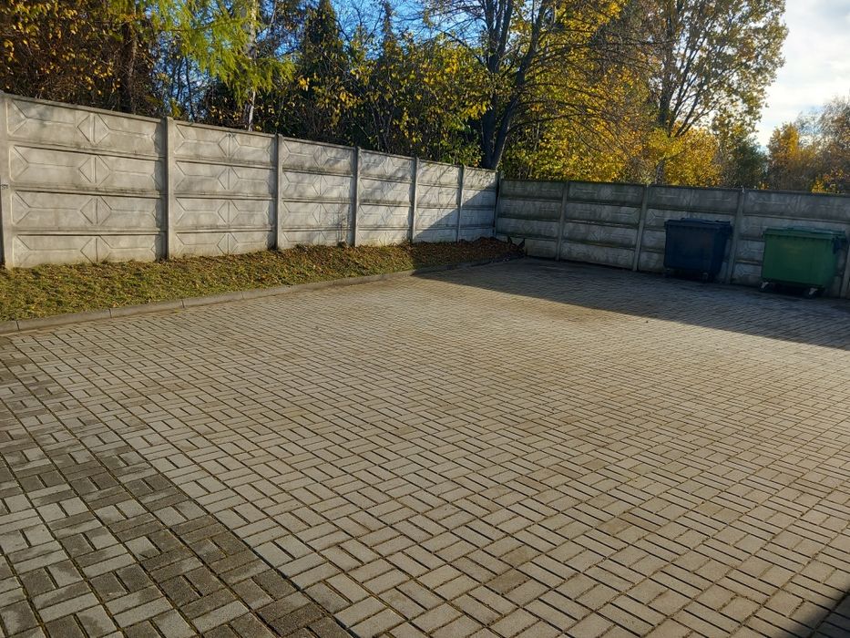 Wycinka drzew usługi rębakiem koszenie czyszczenie kostki