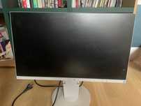 Monitor eizo Flex scan ev 2450