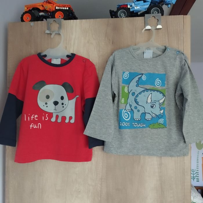 Zestaw. Bluzka, zwierzątka, długi rękaw. Cocodrillo, r. 80.