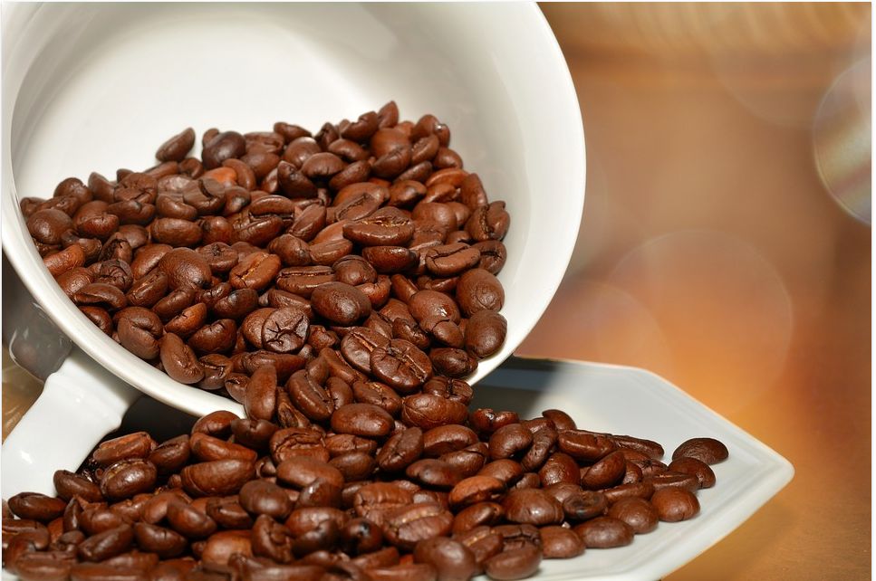Кофе в зернах 60%40% "ВІД ШЕФА". Новинка!! - готовы дивувати! кава