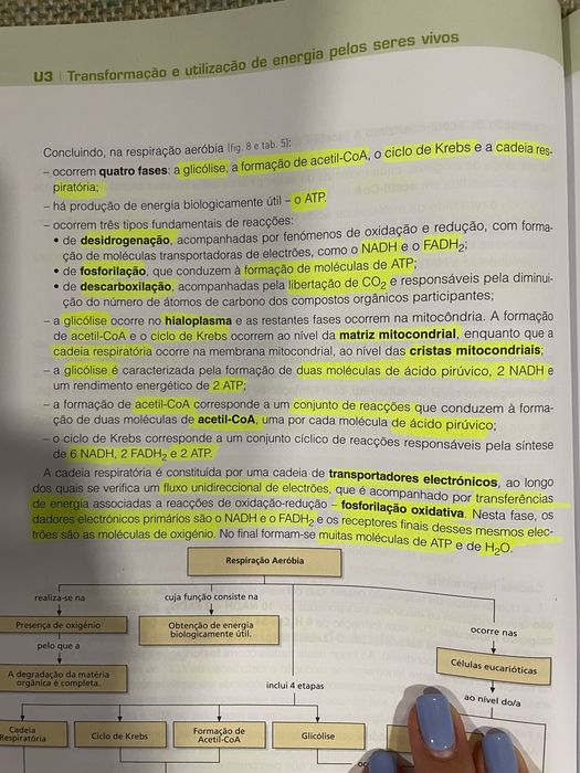 Guia de Estudo Biologia 10 ano