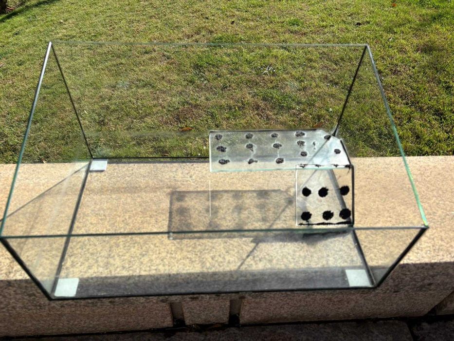 Aquário de vidro com filtro tartaruga