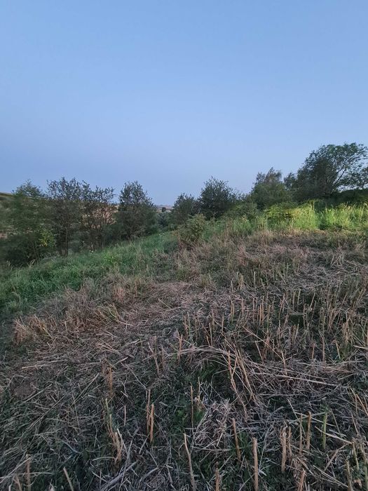 Działka rolno budowlana 82 Ar  Biskupice Proszowice widokowa duża