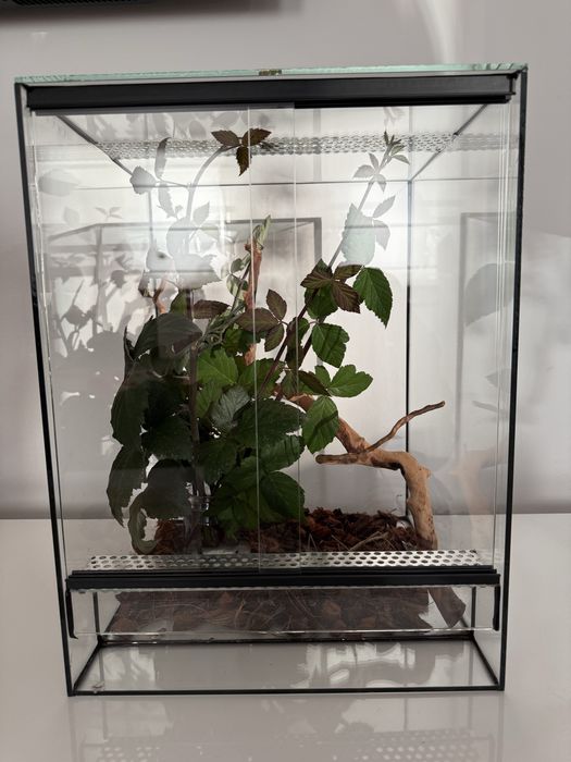 Terrarium 30x30x40