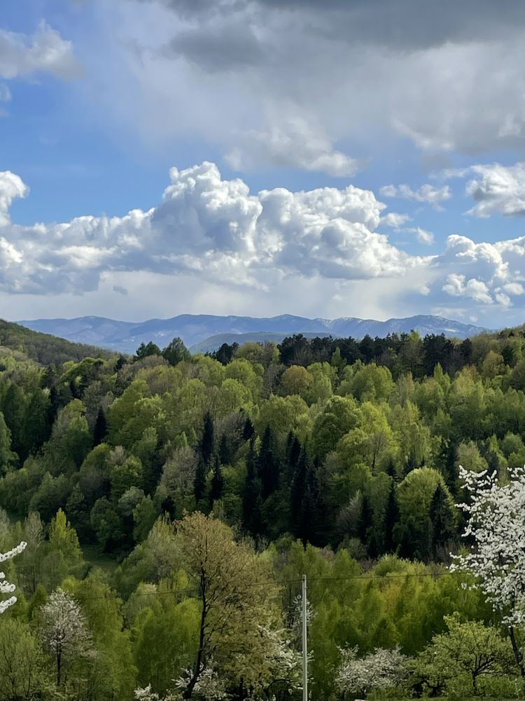 Оренда котеджів Marevo с.Орів