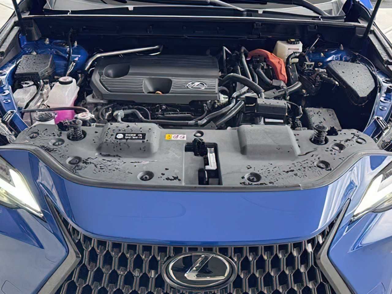 Lexus NX Hybrid Luxury 2022