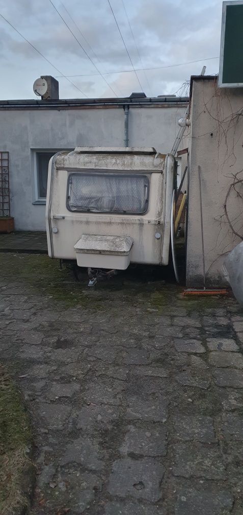 Doczepa niewiadow n126