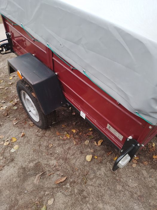 Придбайте Лев 19 *1.3 ,від виробника