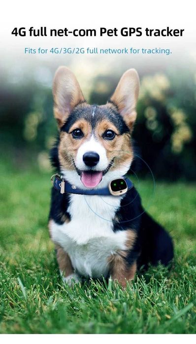 Трекер для домашних животных GPS V 43