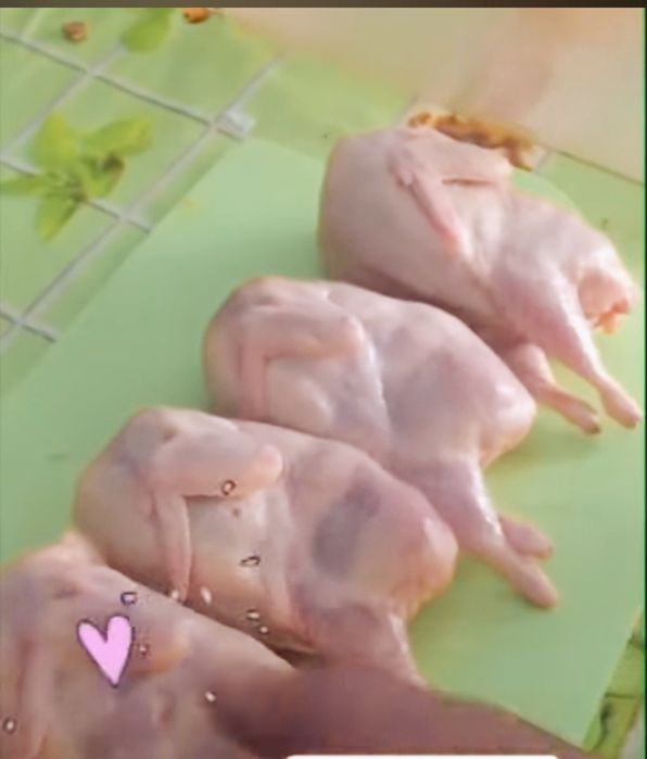 Тушка перепілки. Охолоджене свіже мясо перепілки.