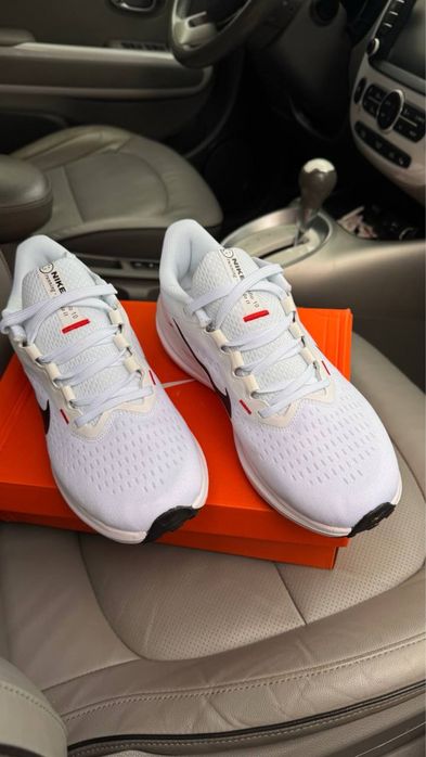 Кросівки Nike air Winflo 10