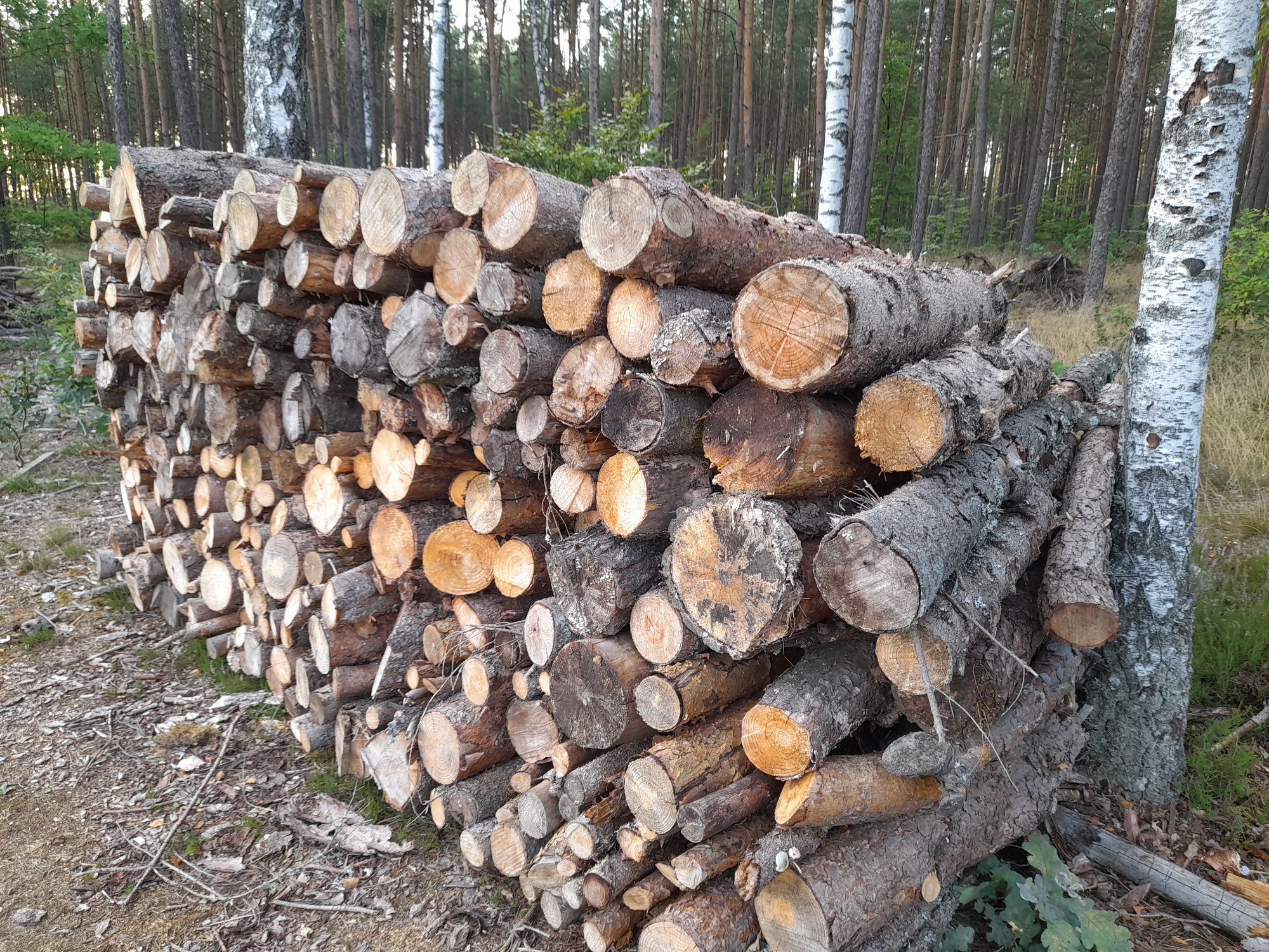 Sprzedam drewno opałowe świerk, sosna