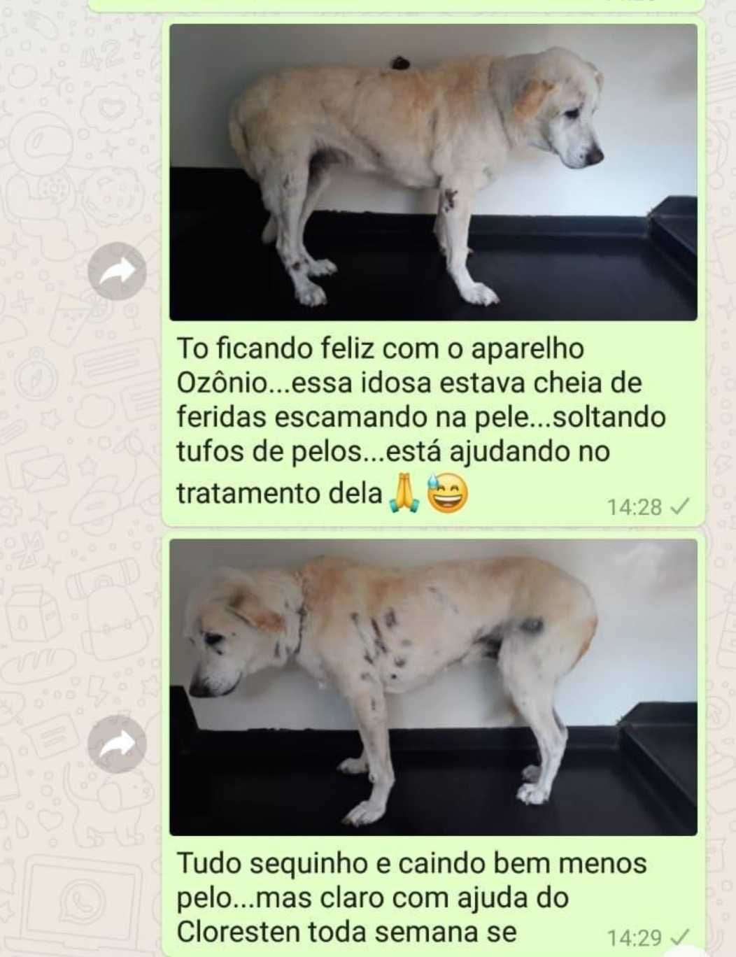 Gerador de ozonio pet