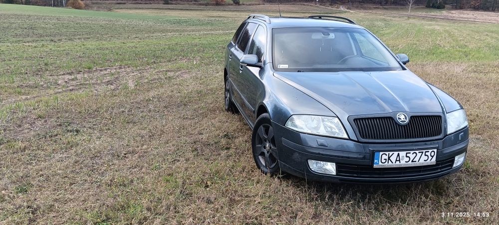 Skoda octavia 2 silnik 1.9 TDI