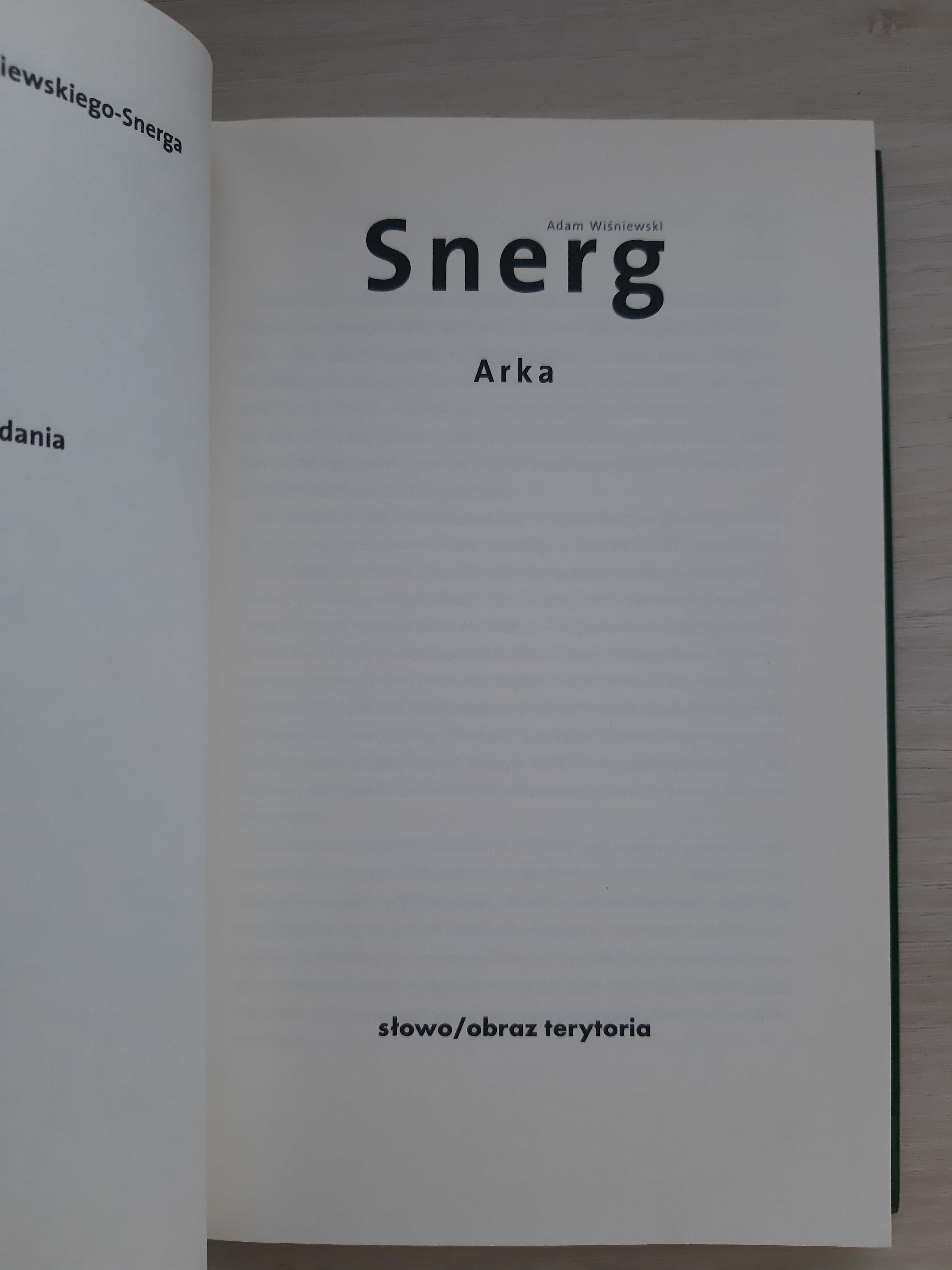 Arka – Adam Wiśniewski-Snerg
