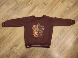 Bluza Harry Potter