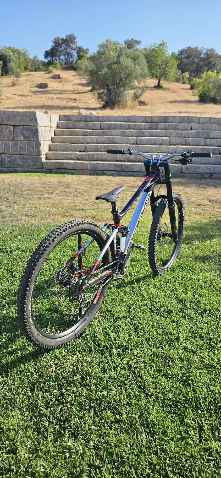 Mondraker Summum RR