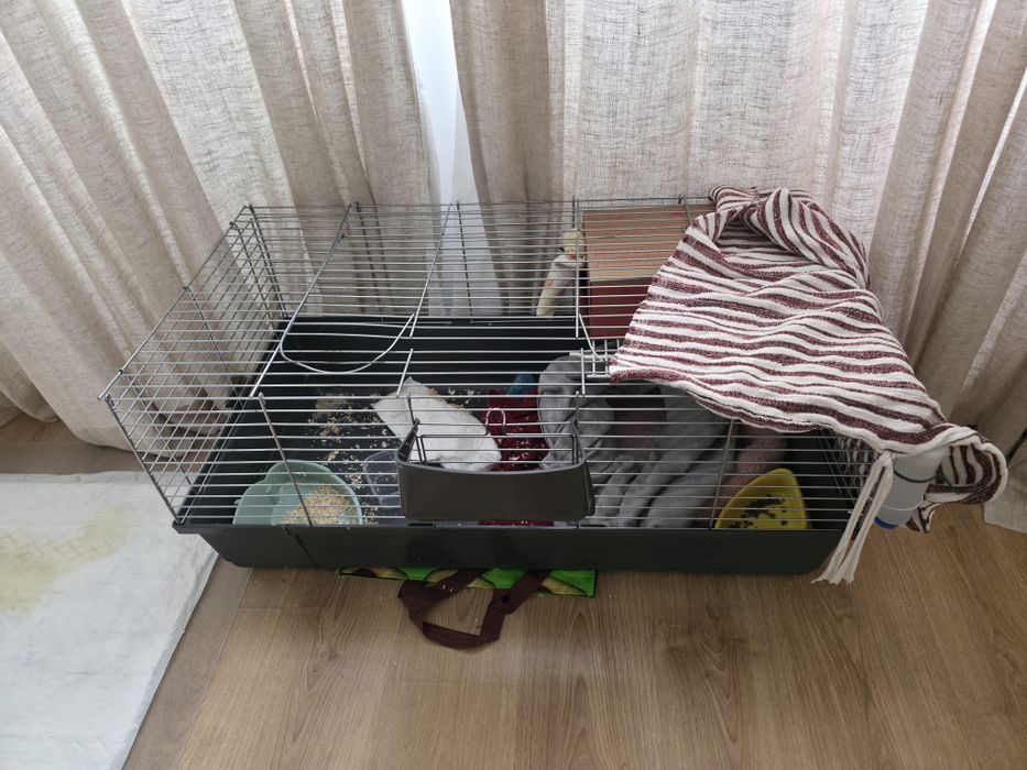 Gaiola roedor , parte superior , em bom estado.