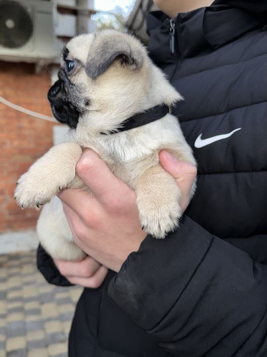 Чудова дівчинка!!!