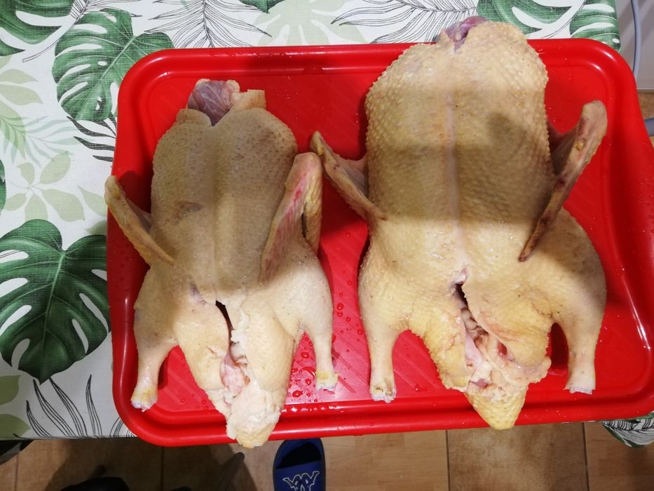 Kaczki francuskie tuszki