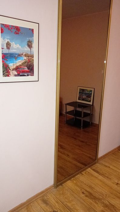 Mieszkania na wynajem