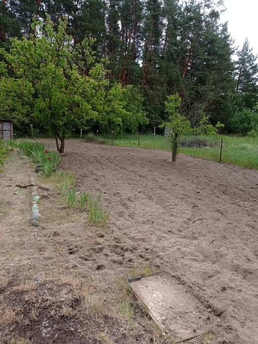 Ділянка 0,12 га с. Пристанційне