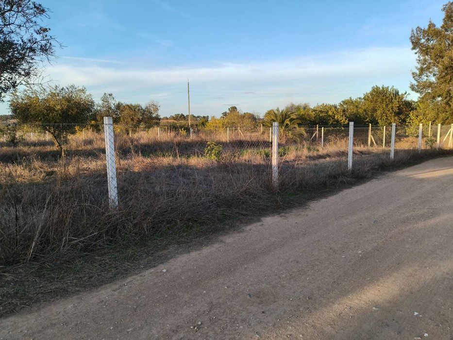 Terreno Rústico Vedado
