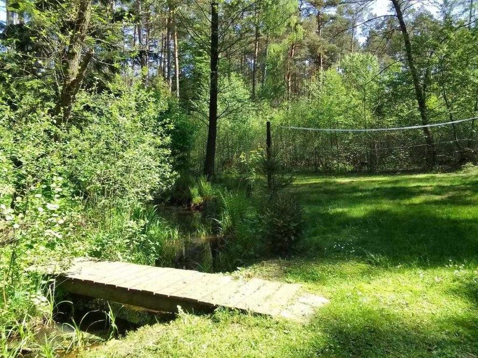 Dom lub pokoje do wynajęcia Rybnica gmina Susiec - całoroczny