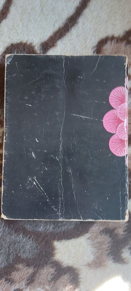 Livro Viagens Com A Minha Tia