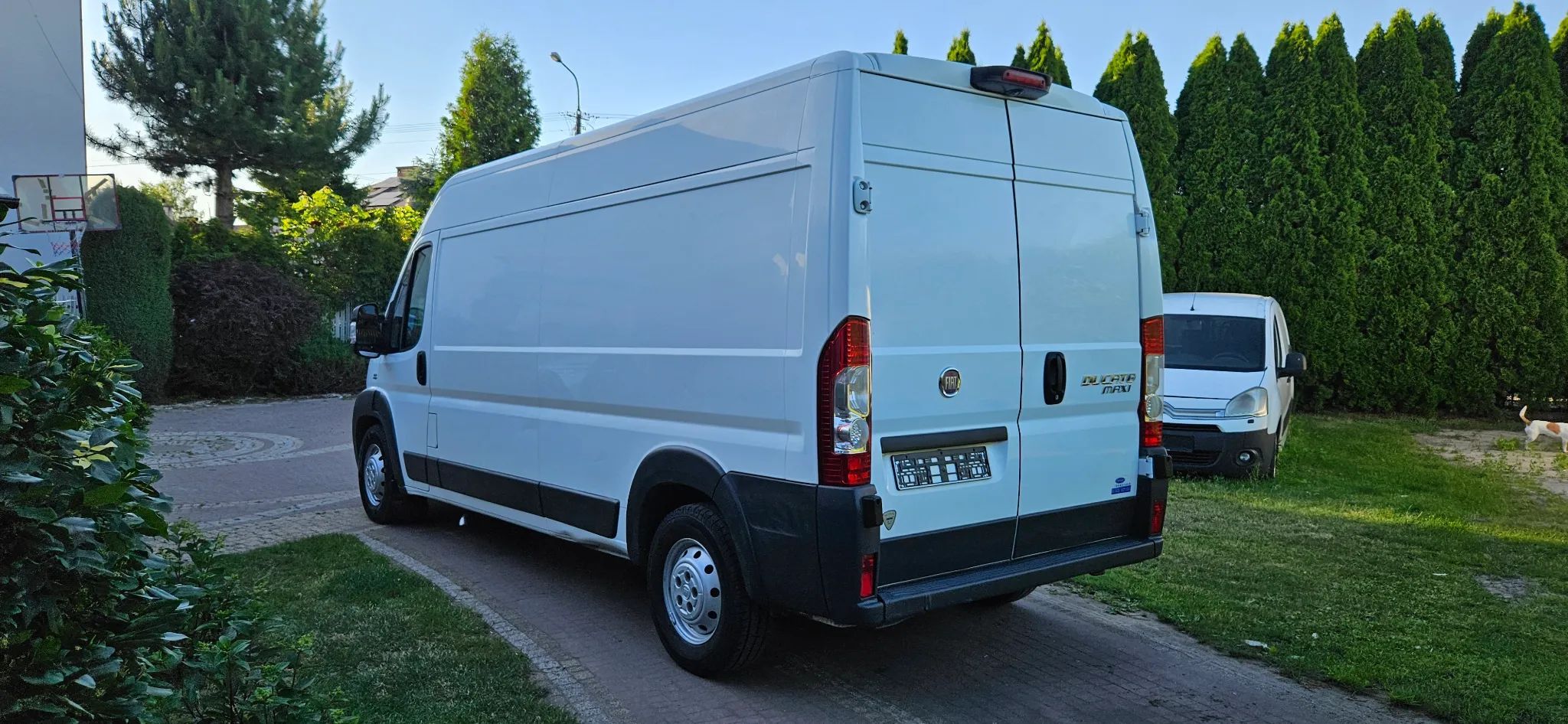 Fiat DUCATO 3.0 JTD MAXI L3 H2 IZOTERMA CHŁODNIA CARRIER + ZASILANIE 230V KLIMA BLASZAK DLUGI  Boxer Jumper  Zadbany Gwarancja Przebiegu