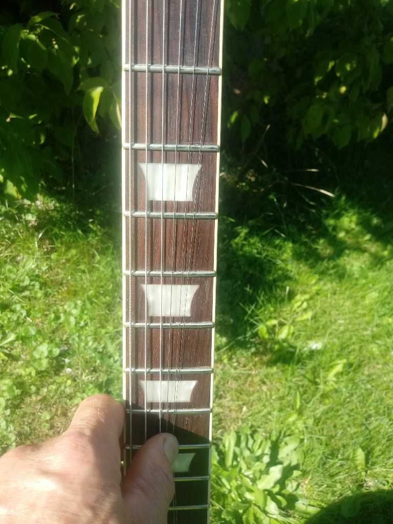 Zmieniający kolor:  Flame II Special  typ LP od Mayones 'a + Rockbag