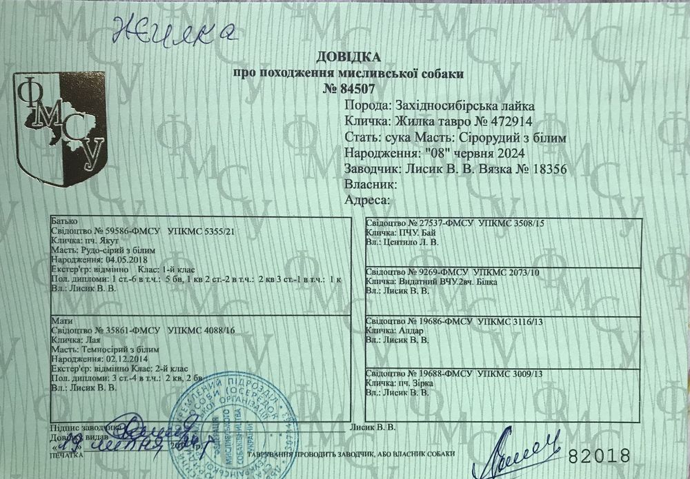 Продаються цуценята ЗСЛ.