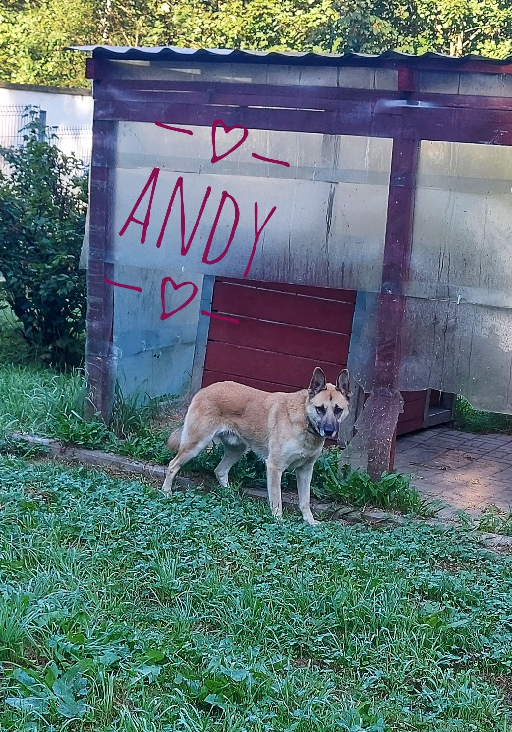 Diana i Andy wspaniała para do adpocji