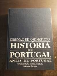 História de Portugal, José Mattoso, vol. 1