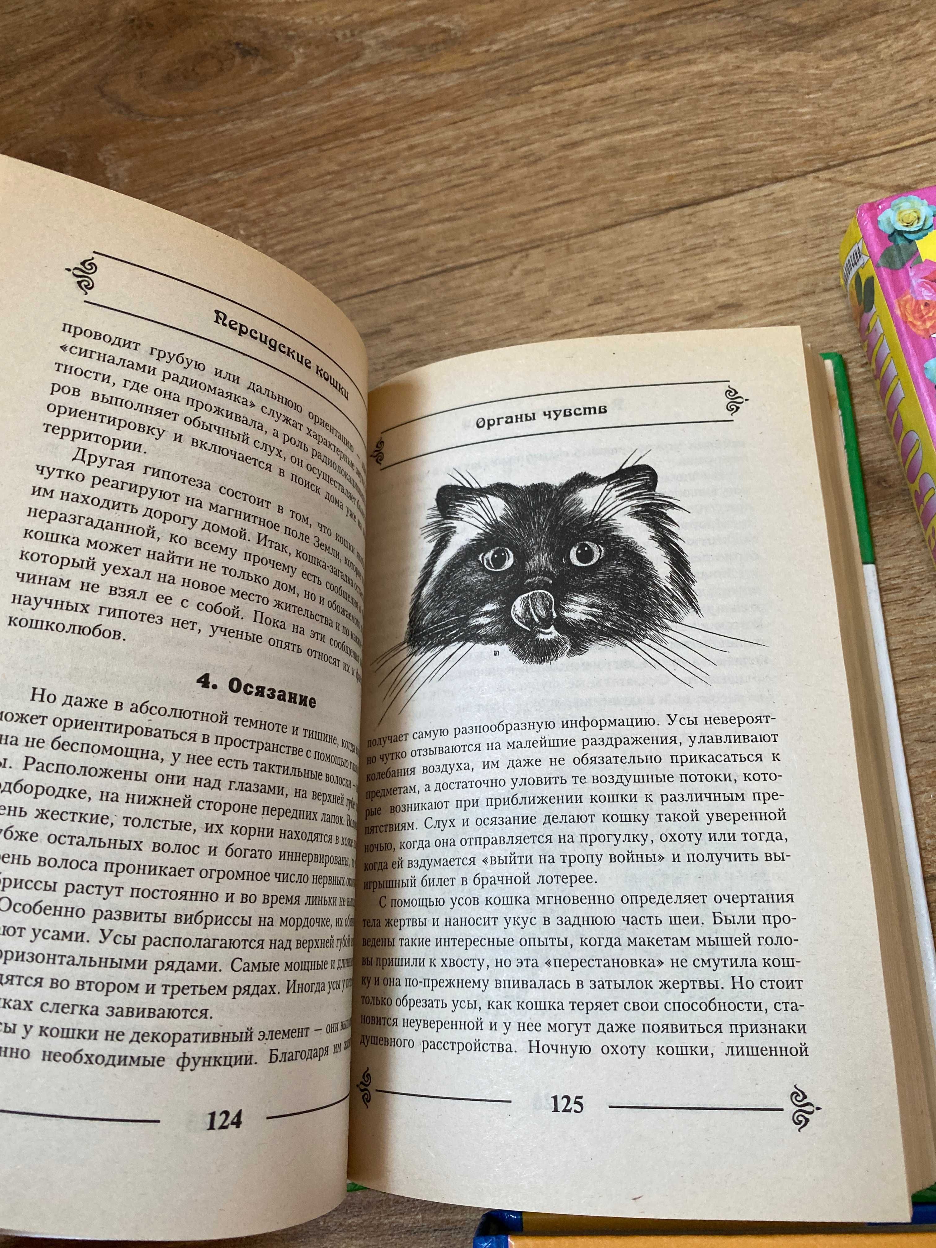 Книга о персидских котах уход за котами